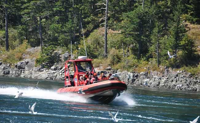 BC Fishing Adventures